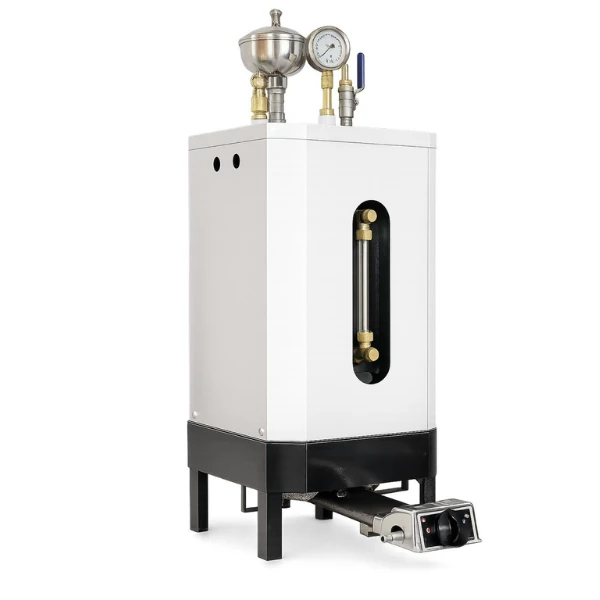 BENEVENTO Steam Boiler